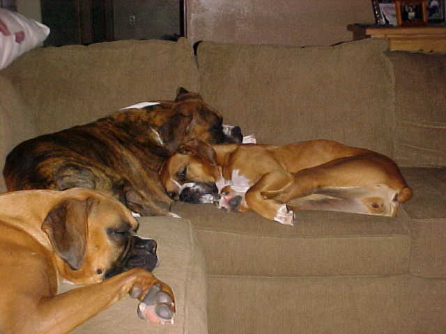 Lazy summer days...