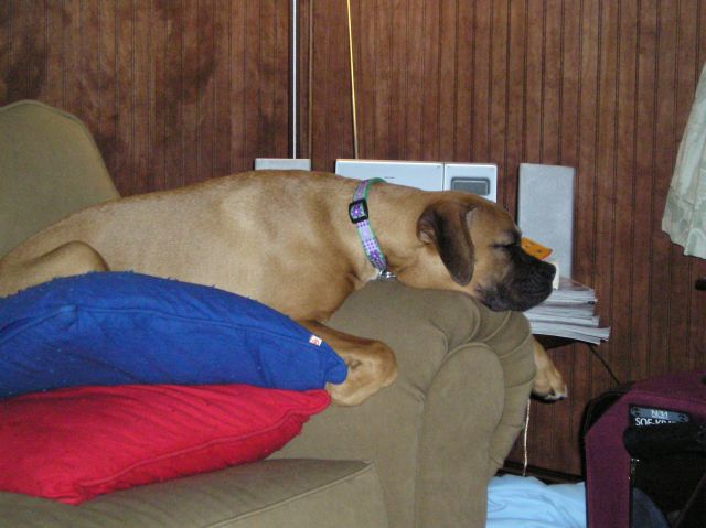 lazy window watching