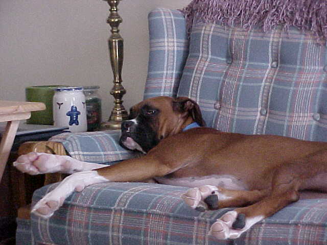 Lazy!