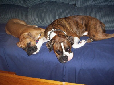 lazy_days_of_summer