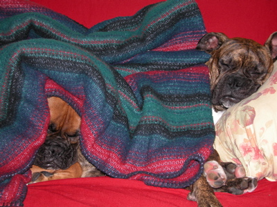 lazybones