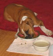 LazyFrito