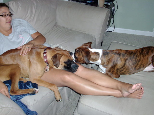 Lazypups