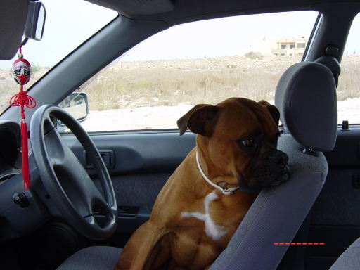 Le Roy preparing to drive