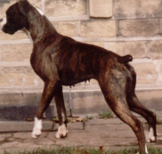 Leah...1986