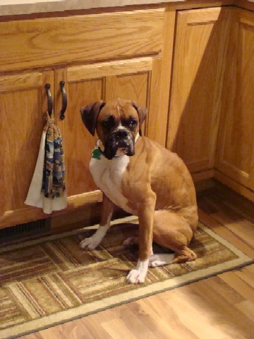 Leah in Kitchen