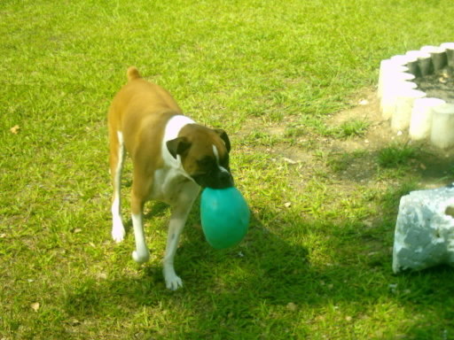Leah in the Yard