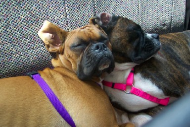 "Lean on me"