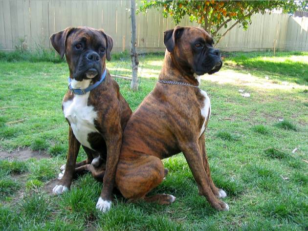 lean on me