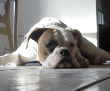 Leave...Me...Alone Mom!