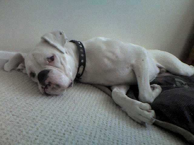 Leave me alone.... please!
