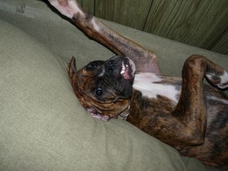 Leave me alone!!