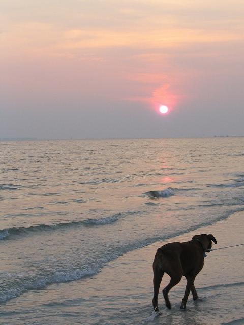 Legend at sunset