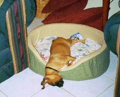 Leila all tired out