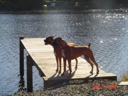 Leila and Lexi
