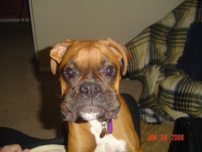 Leila before a lick attack!