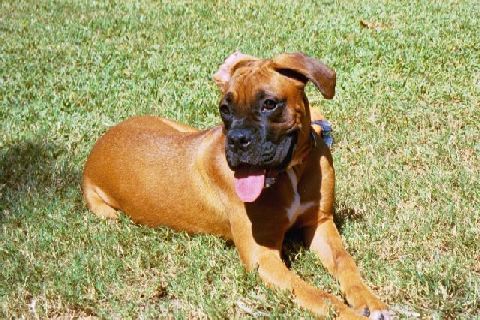 Leila in the sun