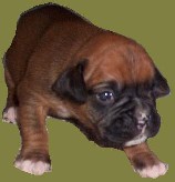 Lelya @ 2 Weeks