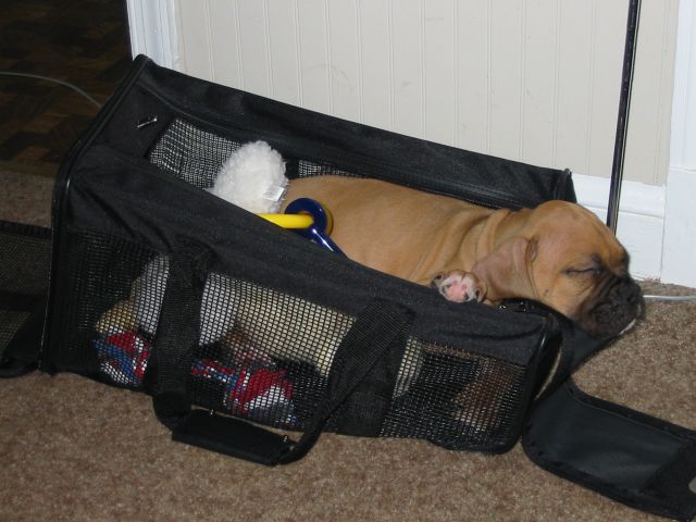 Lemme just take another nap before we go