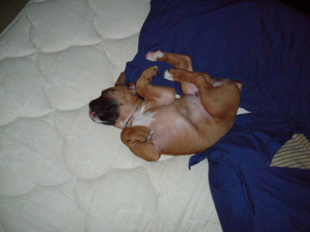 Lenard Wiggins 6 1/2 weeks