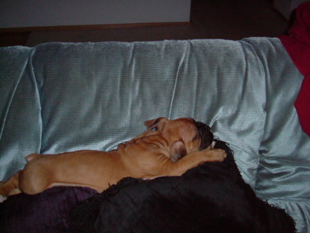 Lenard Wiggins 6 1/2 weeks