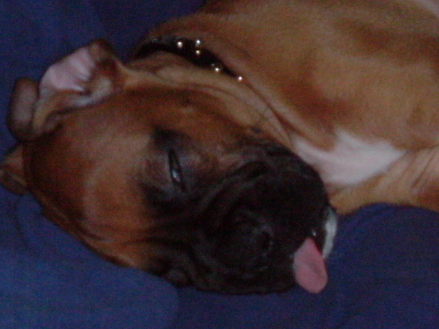 Lenard Wiggins 6 1/2 weeks