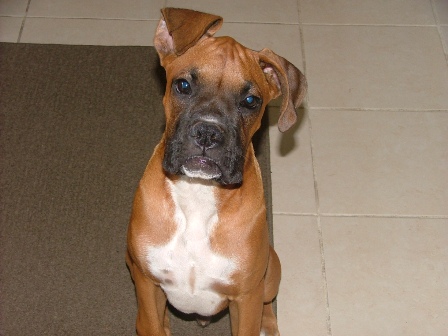lennox 4 1/2 months