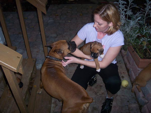 Lennox and his 2 moms...
