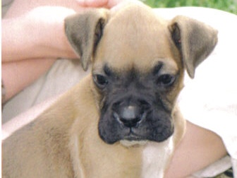 Lennox first day home