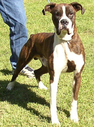 Lennox