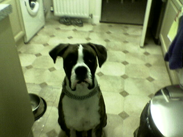 lennox