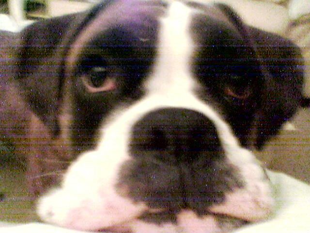 lennox