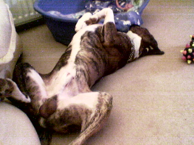 lennox