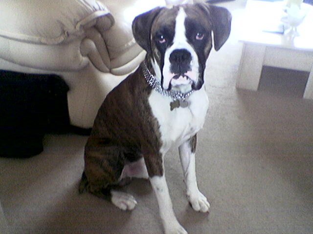 lennox