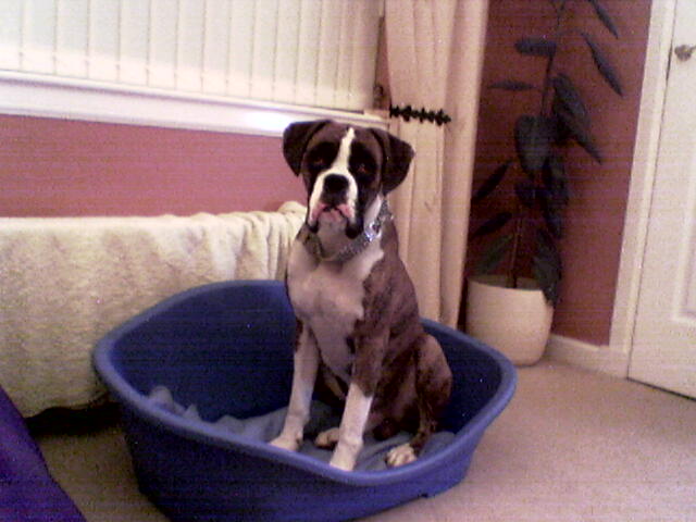 lennox