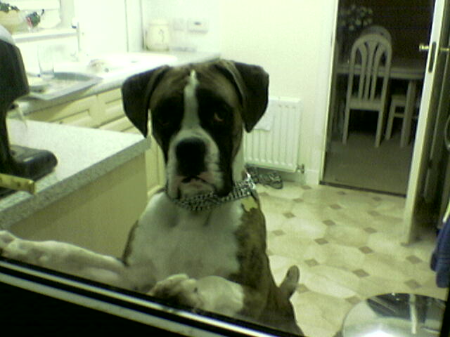 lennox