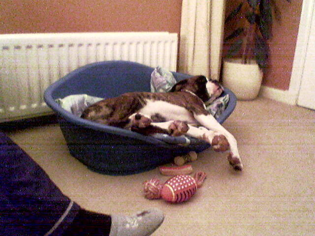 lennox