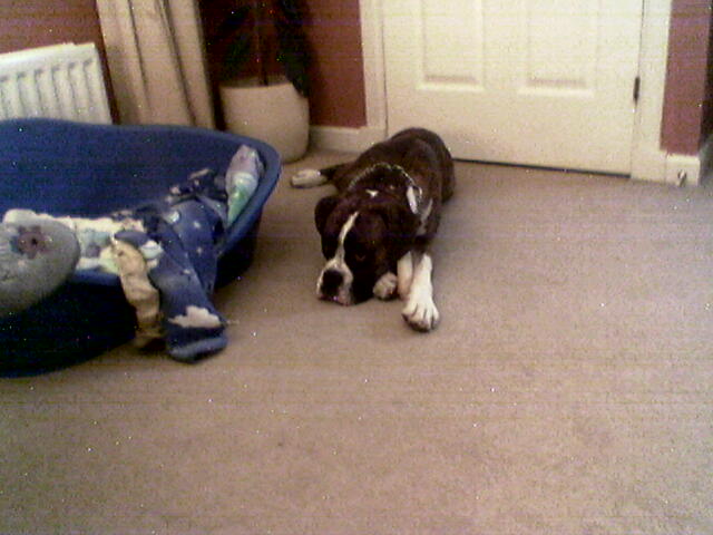 lennox