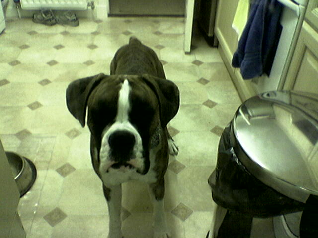 lennox