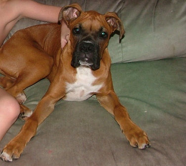 lennox_sep05