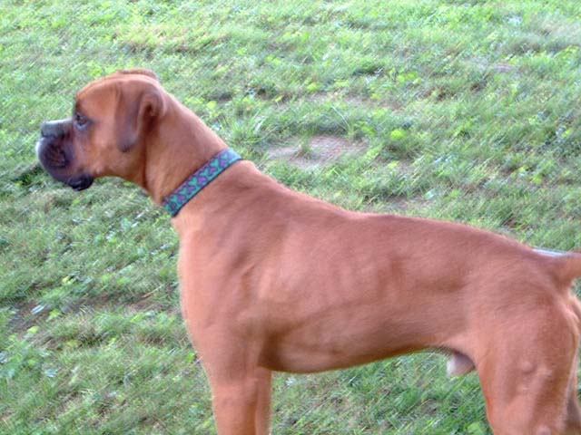 Lenny2
