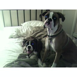 Leo and his best friend Blue