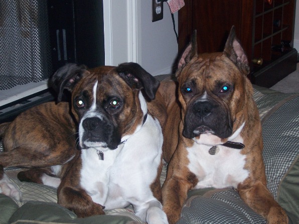 LeoandLacy