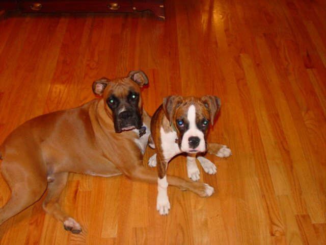 Leonard and Layla