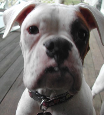 LeRoy