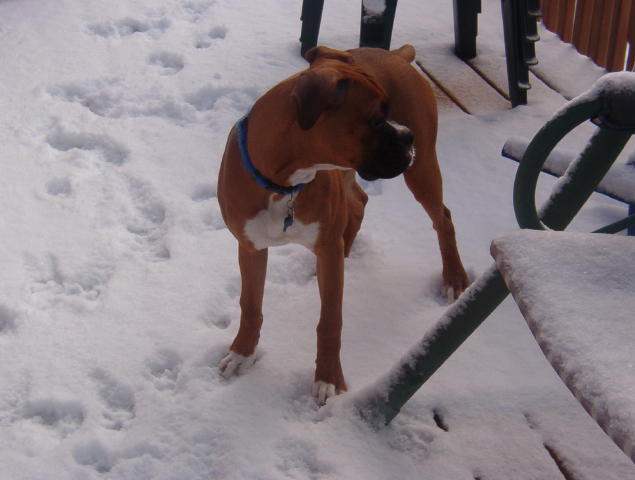 Let It Snow!