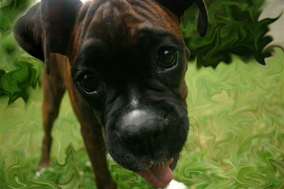 Let me help clean your lens..........