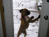 Let me in its cold