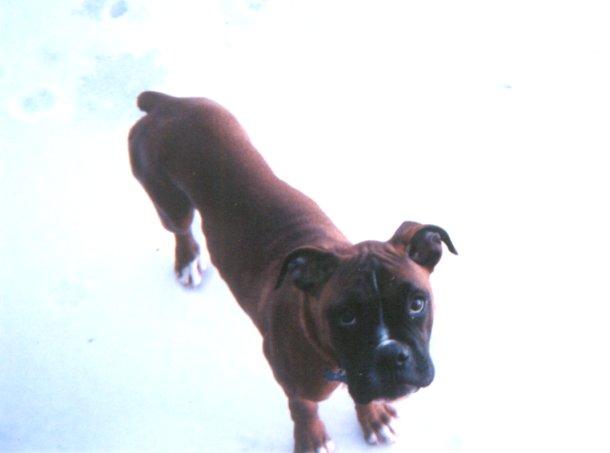 Let me in please