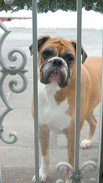 Let me in